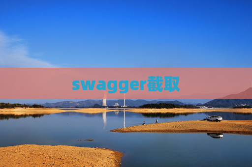 swagger截取